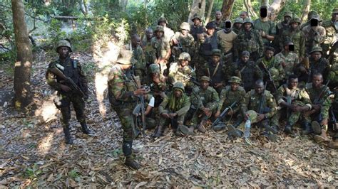 Joint Special Forces Group From South Africa Botswana Lesotho And