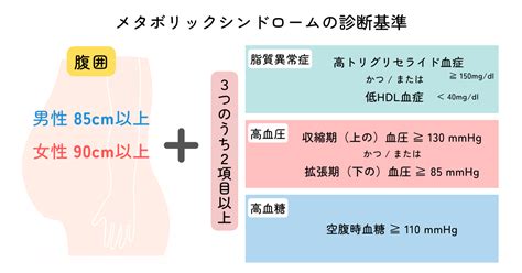 肥満・メタボリックシンドロームとは？ 不整脈ドキドキクリニック