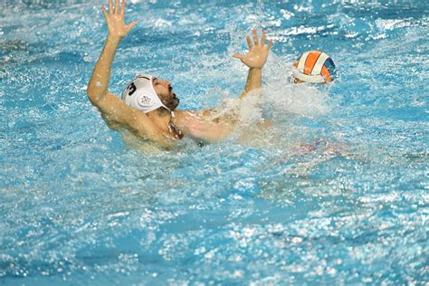 Water Polo Mondiaux Les Bleus En Quart De Finale En Battant L Australie