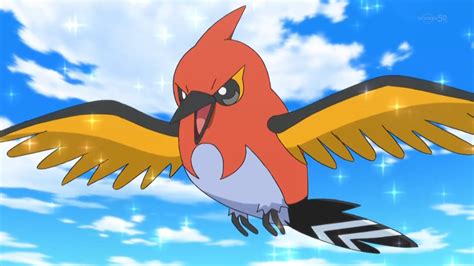 Nico's Fletchinder | Pokémon Wiki | Fandom powered by Wikia