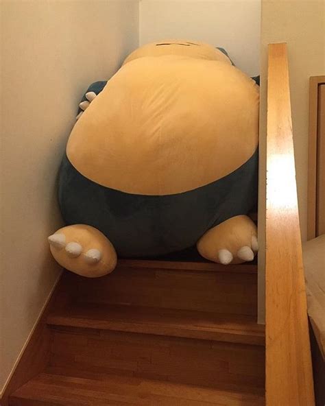 A Wild Snorlax Is Blocking The Path Snorlax Bed Pokemon Geeky