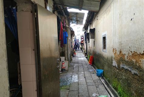 探访东莞凤岗江屋古村：一座座排屋，一条条小巷，里面住满人