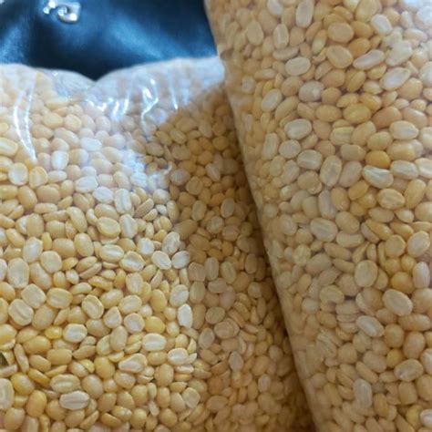 Jual Kacang Hijau Kupas Kg Kualitas Premium Kacang Ijo Kupas Shopee