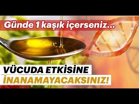 Zeytin Ya Kilo Yaparm K Mler Zeyt N Ya I Kullanmali Zeytin