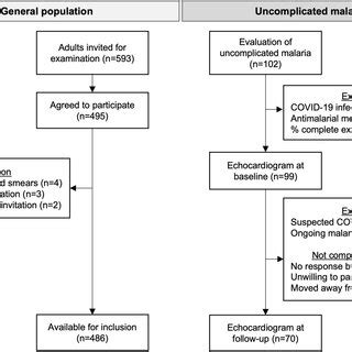 Flowchart Showing The Inclusion And Exclusion Of Study Subjects