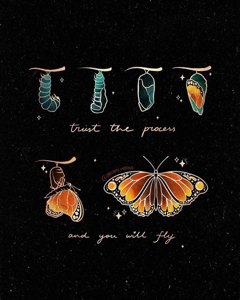 Pin by Daria Temnikova on МАК Золушка in 2024 Butterfly quotes