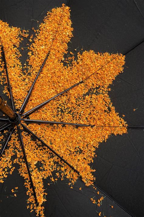 Black Umbrella With Yellow Sprinkles