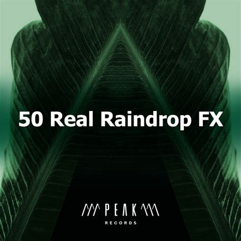 50 Real Raindrop Fx Album By Rainforest Sounds Spotify