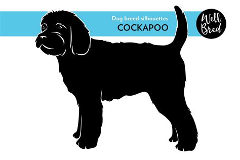 Cockapoo Vector Silhouette | Illustrations ~ Creative Market