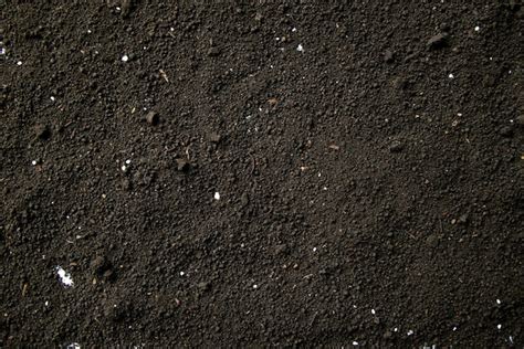 Seamless Dark Dirt Texture