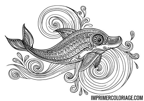 Coloriage Dauphin Mandala Imprimer Coloriage