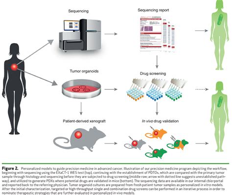 Personalized In Vitro And In Vivo Cancer Models To Guide Precision Medicine Home