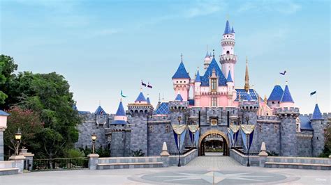 Disneyland Sleeping Beauty Castle Zoom Background | Download These ...