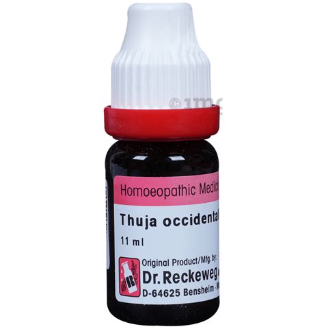 Dr Reckeweg Thuja Occ Dilution 200 Ch Buy Bottle Of 110 Ml Dilution