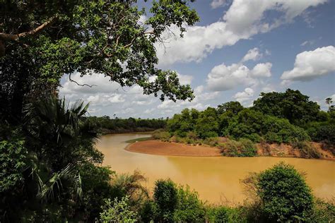 Badiar National Park Awe Inspiring Places