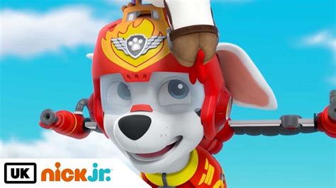 Paw Patrol Pups Save A Plane Nick Jr Uk Youtube