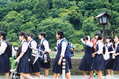 Japanese School System: Best Guide