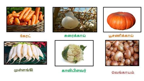 Vegetable Names In Tamil தமிழில் காய்கறிகளின் பெயர்கள் Part1 Youtube