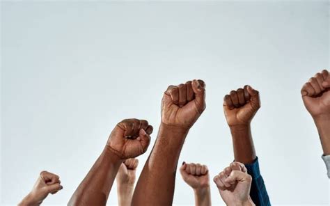 Dia Da Consci Ncia Negra E Os Caminhos Para Alcan Ar A Diversidade E