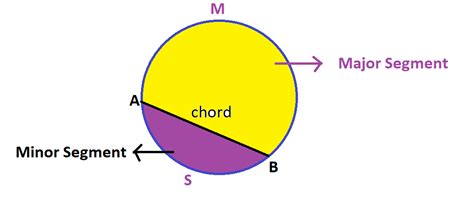 How many parts of a circle has? - EE-Vibes