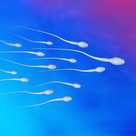 Spermatozoïdes au microscope Meilleurs Microscopes