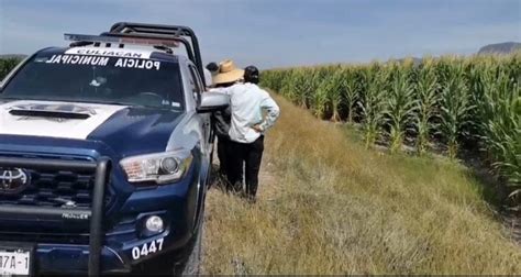 Se Desploma Avioneta Y Muere El Piloto En Higueras De Abuya