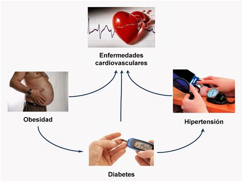 Hormonas Síndrome Metabólico La Epidemia Del Siglo Xxi