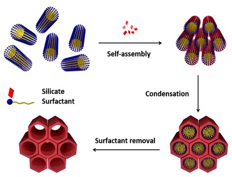 Nanomaterials Free Full Text Preparation And Applications Of Organo