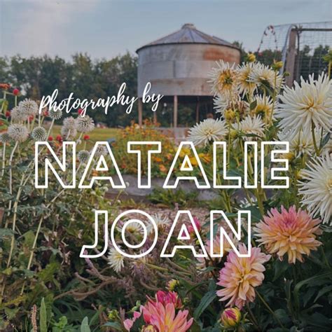 photography  natalie joan