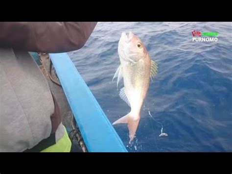 Alhamdulillah Dapat Spot Mantap Buat Mancing Dan Pasang Bubu Perangkap