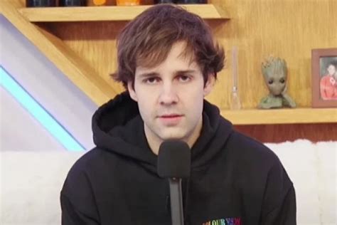 Youtuber David Dobrik Apologizes Amid Vlog Squad Sexual Assault