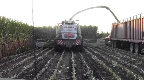 Claas 980 Chopping Big Corn At Marshland Acres Durand Wi Filmed By