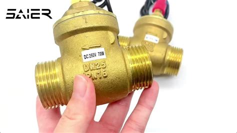 Dn15 100 Brass Copper Baffle Flow Switch Baffleflowswitch Waterflowswitch Reedsensor