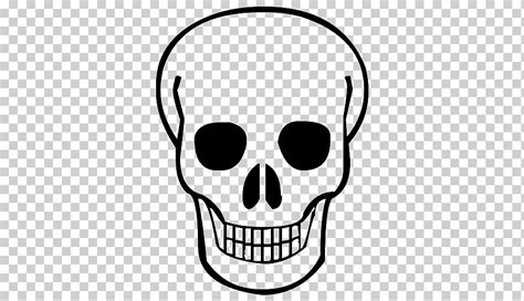 Calavera dibujo calavera boho calavera blanco lápiz cara png Klipartz