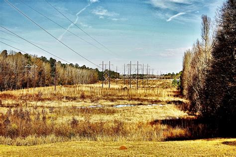 Congaree Creek Winding Into Timmerman Trail 12 31 2021 T Flickr