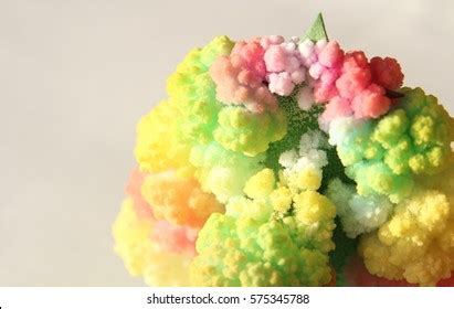 Crystal Growing Experiment Young Science Enthusiasts Stock Photo 575345788 | Shutterstock