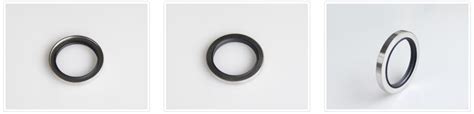 Stainless Steel D Type Triple Rotary Lip Ptfe Oil Seal Dsh Seals