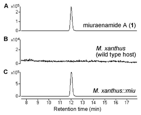 Molecules Free Full Text Heterologous Biosynthesis Of Myxobacterial