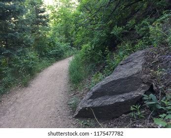 Hiking Trails In Millcreek Canyon Photos and Images | Shutterstock