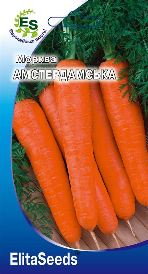 Морква Амстердамська (10г.) | Elita Seeds - насiння гібридів та ...
