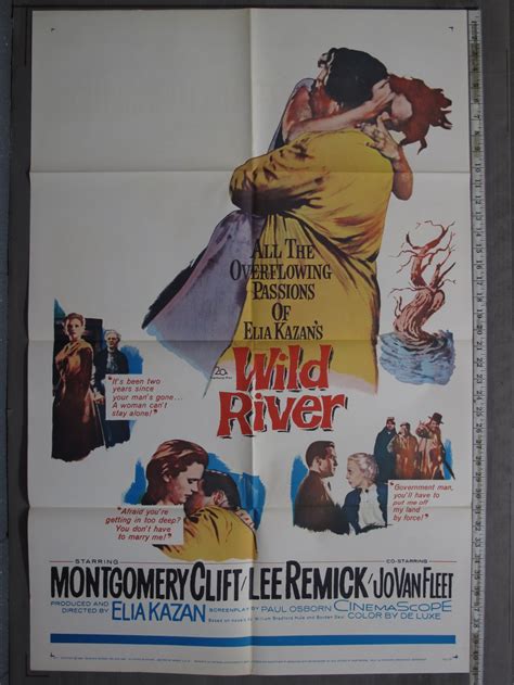 WILD RIVER (1960) Original Movie Poster For Sale