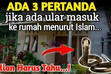 Pertanda Ular Masuk Rumah Menurut Kajian Islam Primbon Kejawen Dan