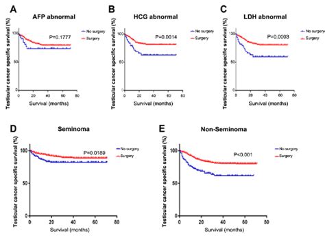 Testicular Cancer Specific Survival Curves Stratified By Molecular And Download Scientific