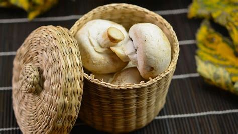 How To Consume Mushrooms For Weight Loss: Top Benefits And Easy Recipes