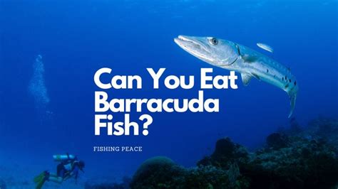 Can You Eat Barracuda? - Safety, Taste, and Cooking Tips