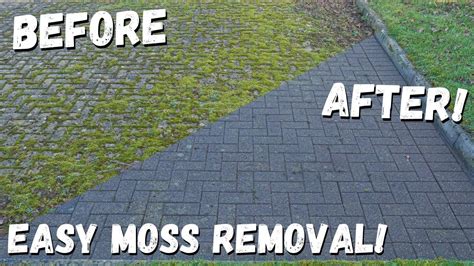 How To Clear Moss Without Chemicals The Easy Way Youtube