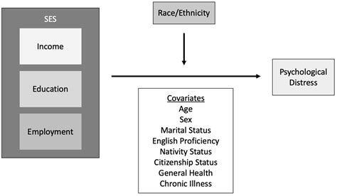 Socioeconomic Status Model At Kristin Pierce Blog