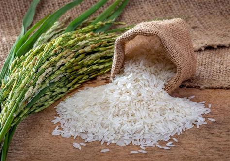 quale riso mangiare durante la dieta guida   tipi  riso differenti