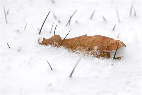 First blast of snow in the Cleveland region - cleveland.com