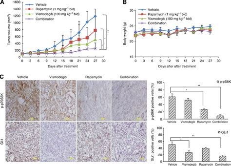 Effect Of Rapamycin Vismodegib Or Both On Mz Cha Cell Xenograft